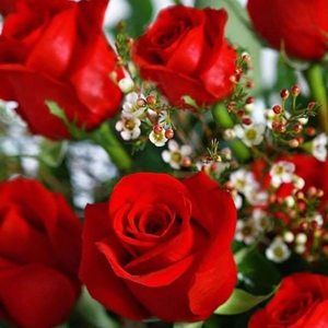 Meet your Posher, Juana